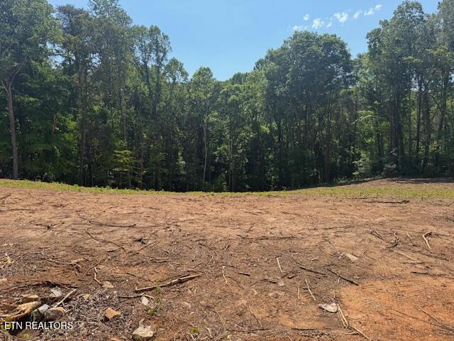 3116 Soaring Hawk Way Knoxville TN 37932