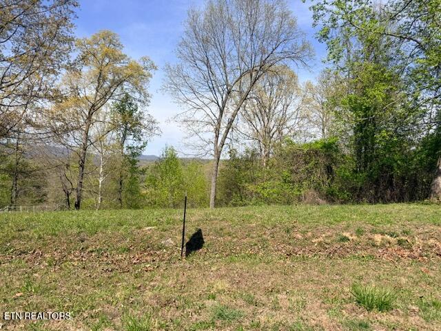 Lot 74 Saddleridge Drive Speedwell TN 37870