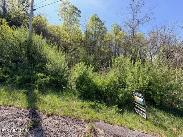Lot 74 Saddleridge Drive Speedwell TN 37870
