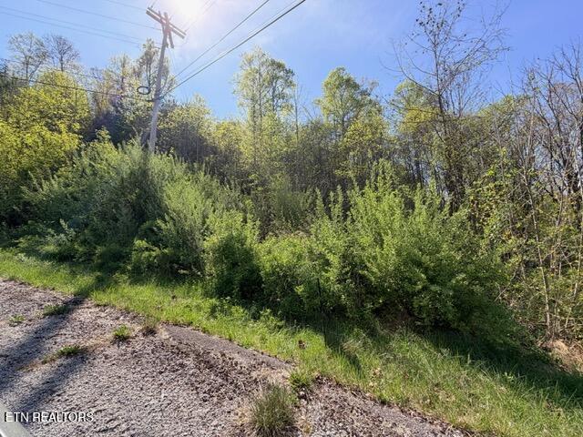 Lot 74 Saddleridge Drive Speedwell TN 37870
