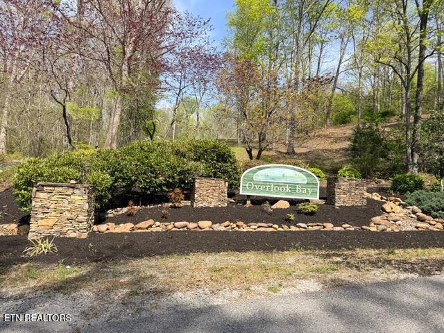 Lot 74 Saddleridge Drive Speedwell TN 37870