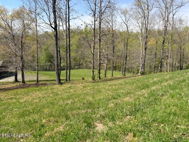 Lot 74 Saddleridge Drive Speedwell TN 37870