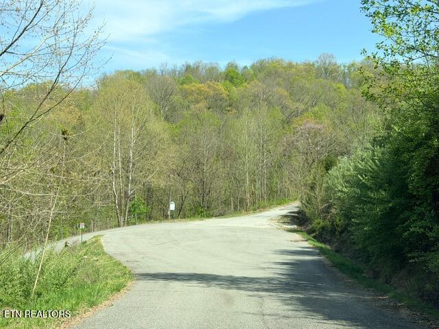 Lot 74 Saddleridge Drive Speedwell TN 37870
