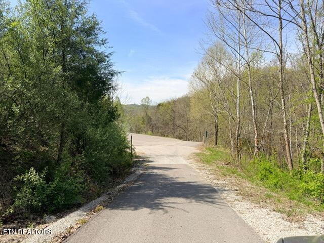 Lot 74 Saddleridge Drive Speedwell TN 37870