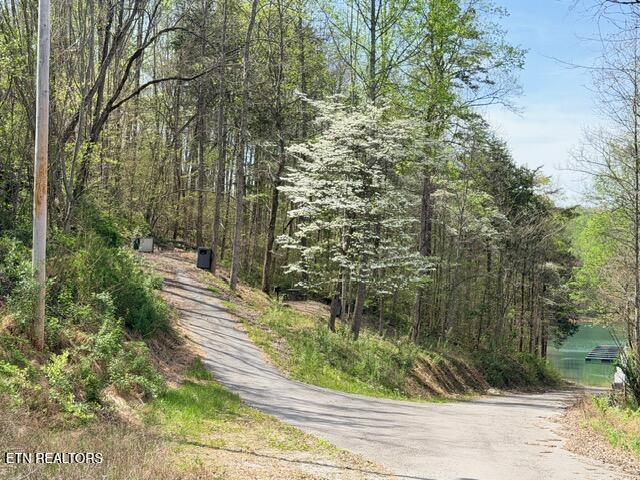 Lot 74 Saddleridge Drive Speedwell TN 37870