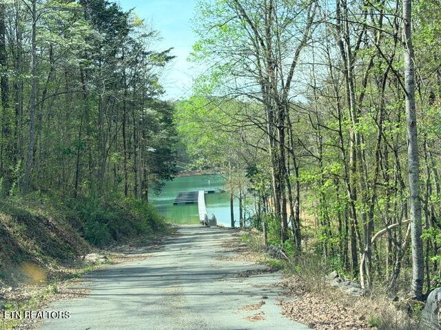 Lot 74 Saddleridge Drive Speedwell TN 37870