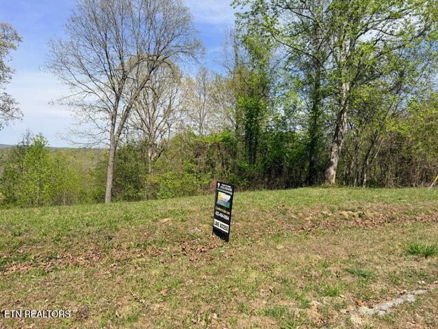 Lot 74 Saddleridge Drive Speedwell TN 37870