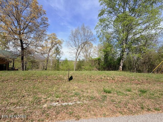 Lot 74 Saddleridge Drive Speedwell TN 37870