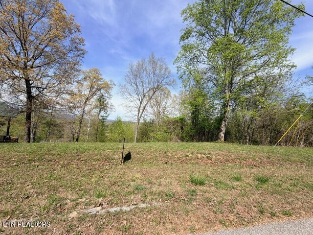 Lot 74 Saddleridge Drive Speedwell TN 37870