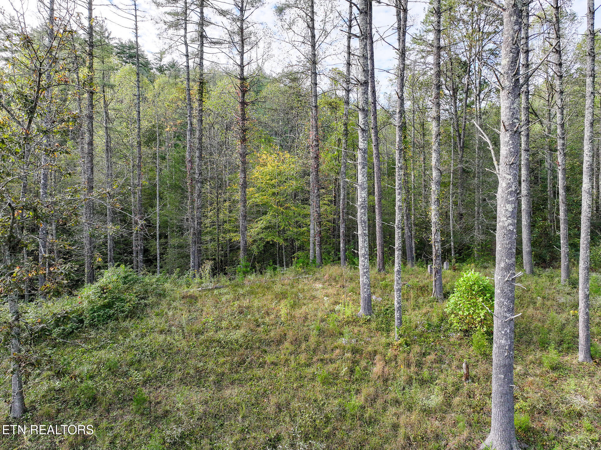Long Branch Road Off Road Del Rio TN 37727