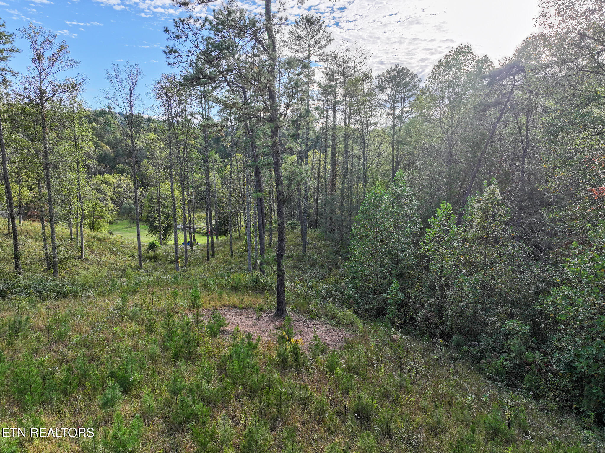Long Branch Road Off Road Del Rio TN 37727