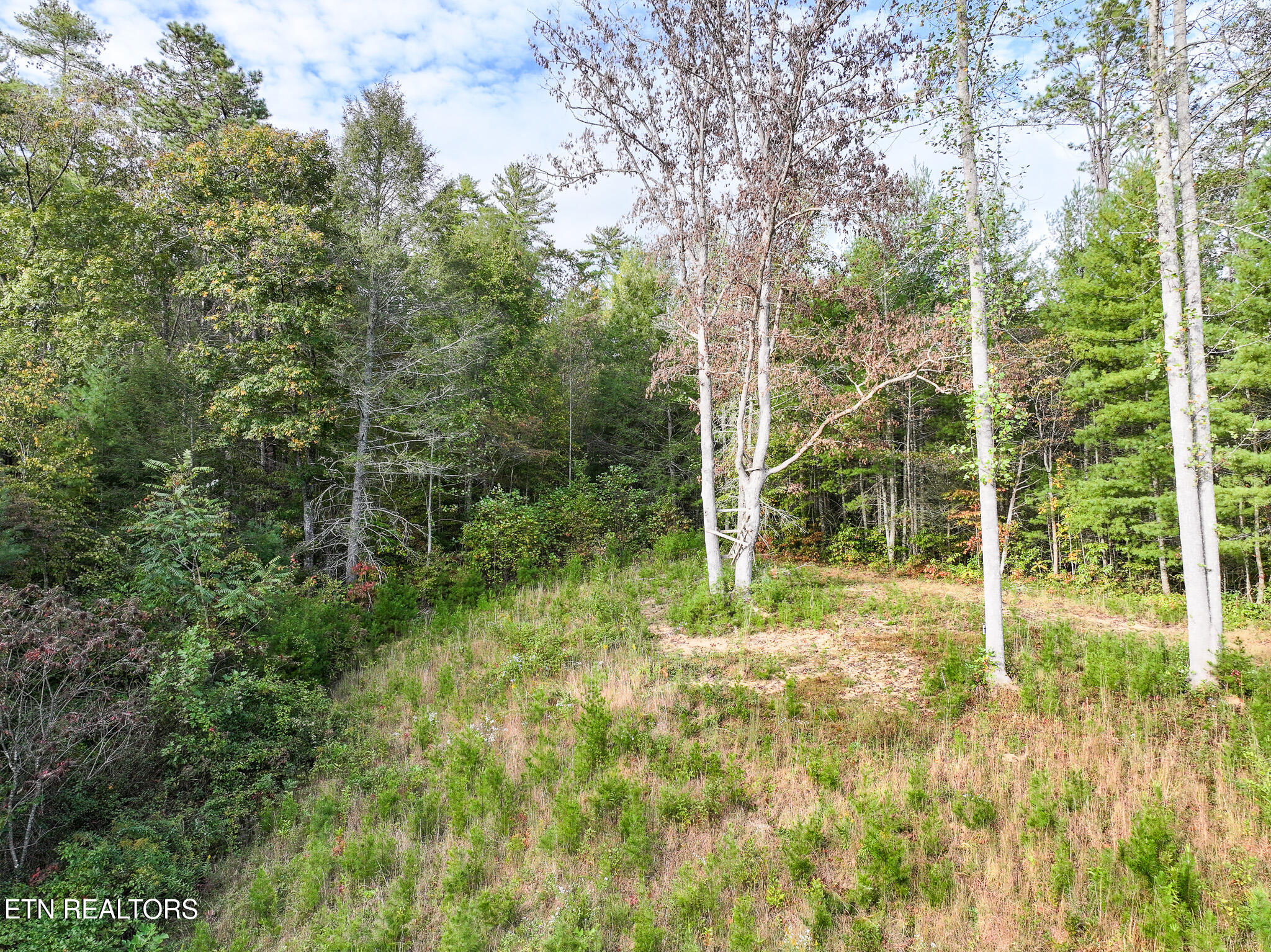 Long Branch Road Off Road Del Rio TN 37727
