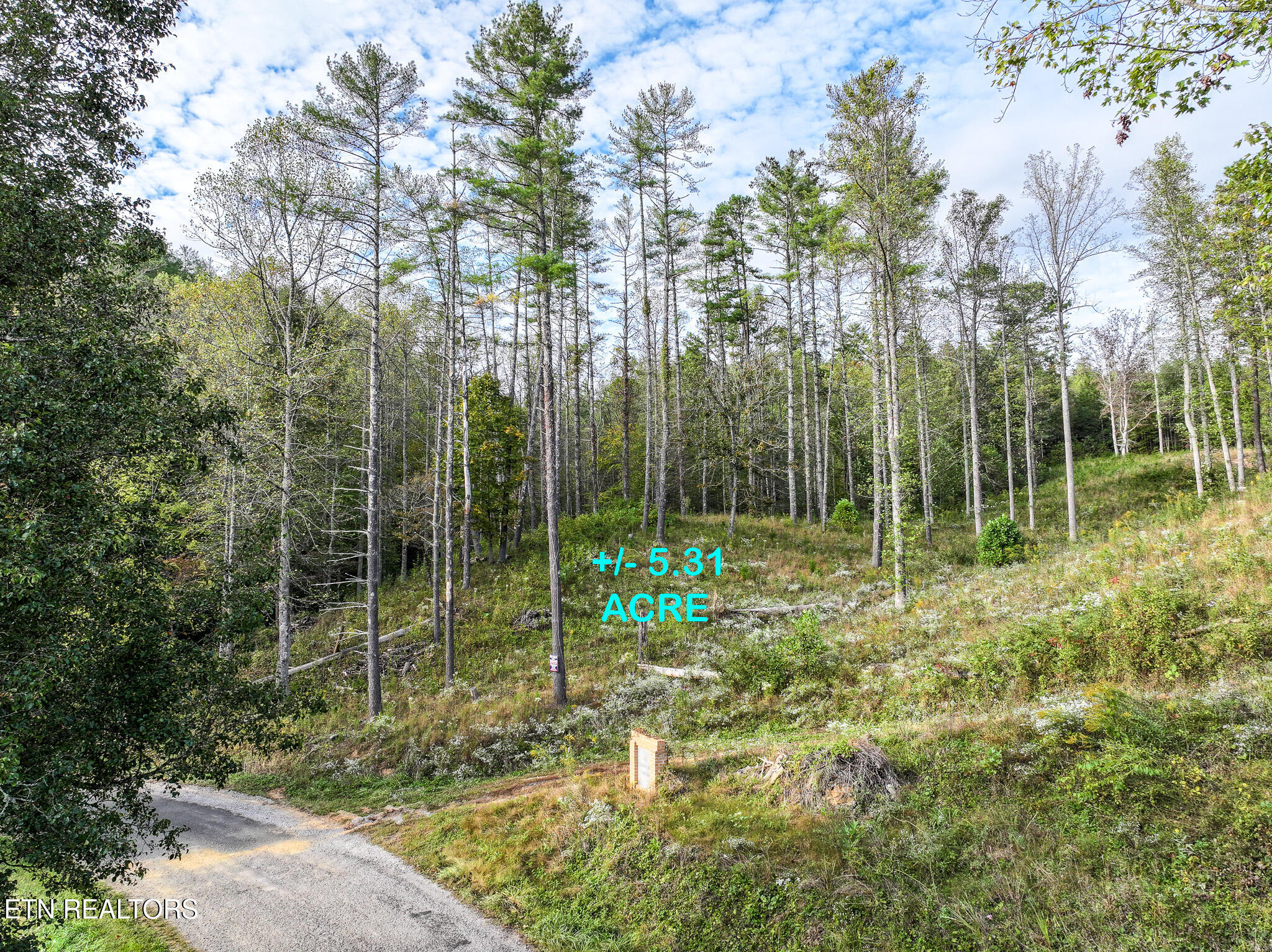 Long Branch Road Off Road Del Rio TN 37727