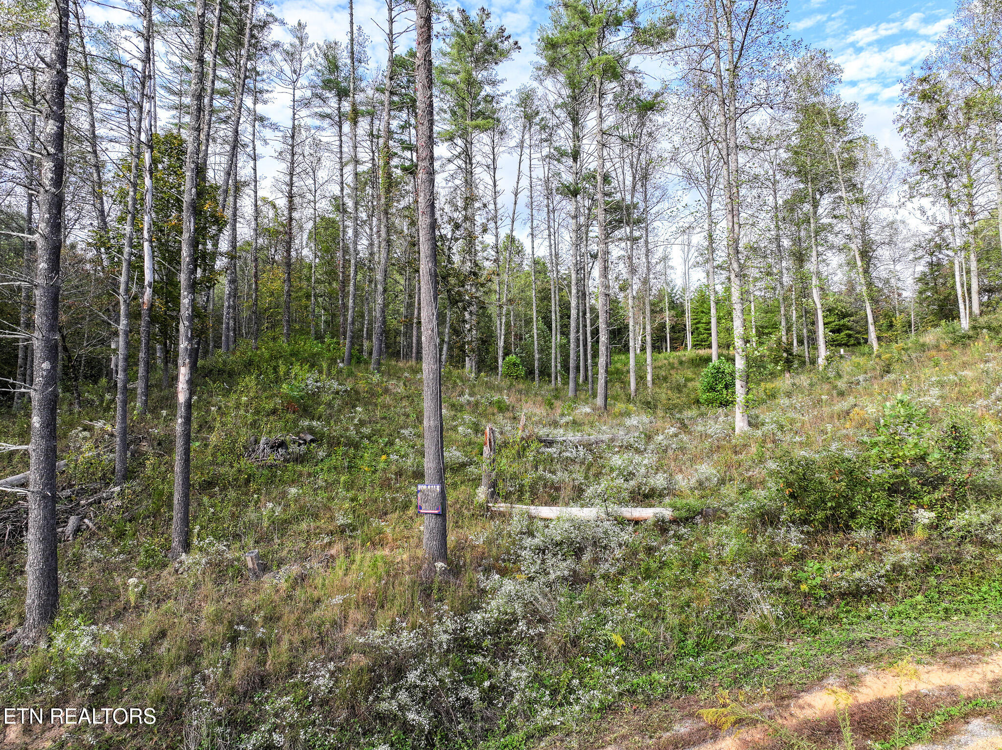 Long Branch Road Off Road Del Rio TN 37727