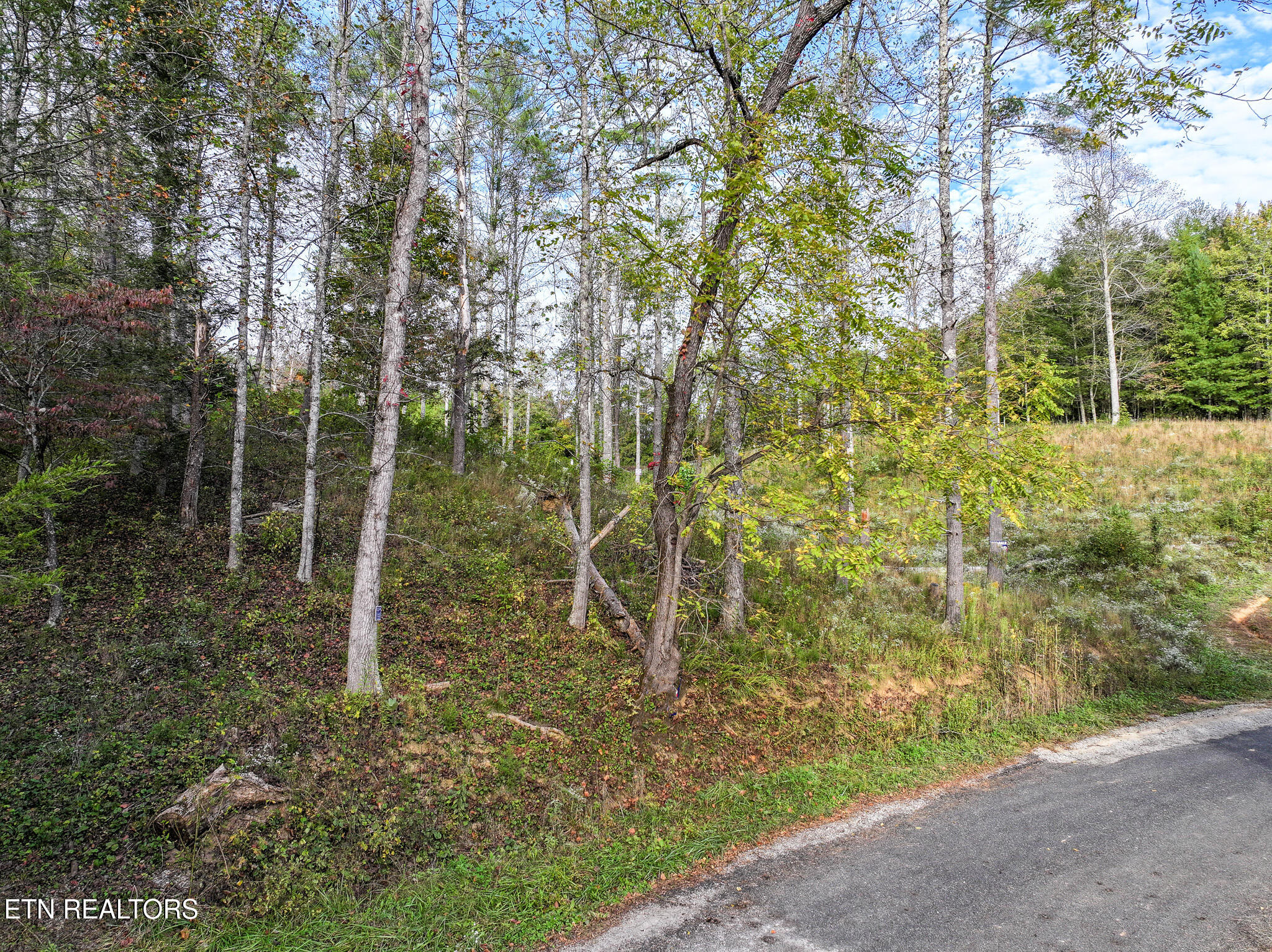 Long Branch Road Off Road Del Rio TN 37727
