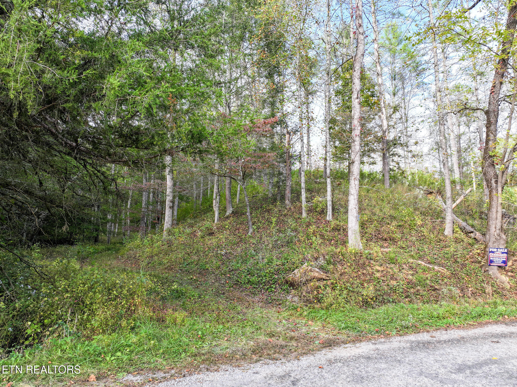 Long Branch Road Off Road Del Rio TN 37727
