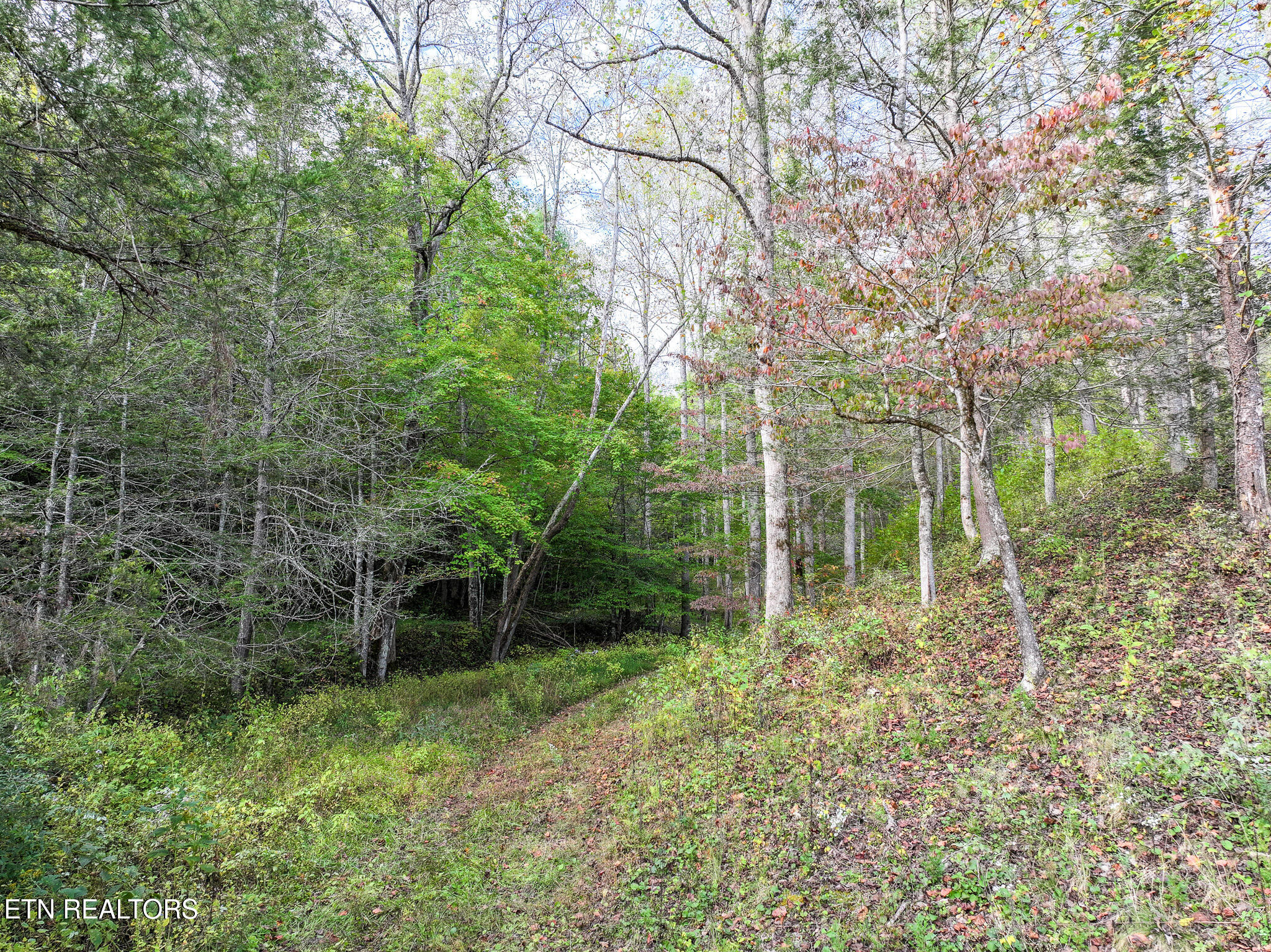 Long Branch Road Off Road Del Rio TN 37727