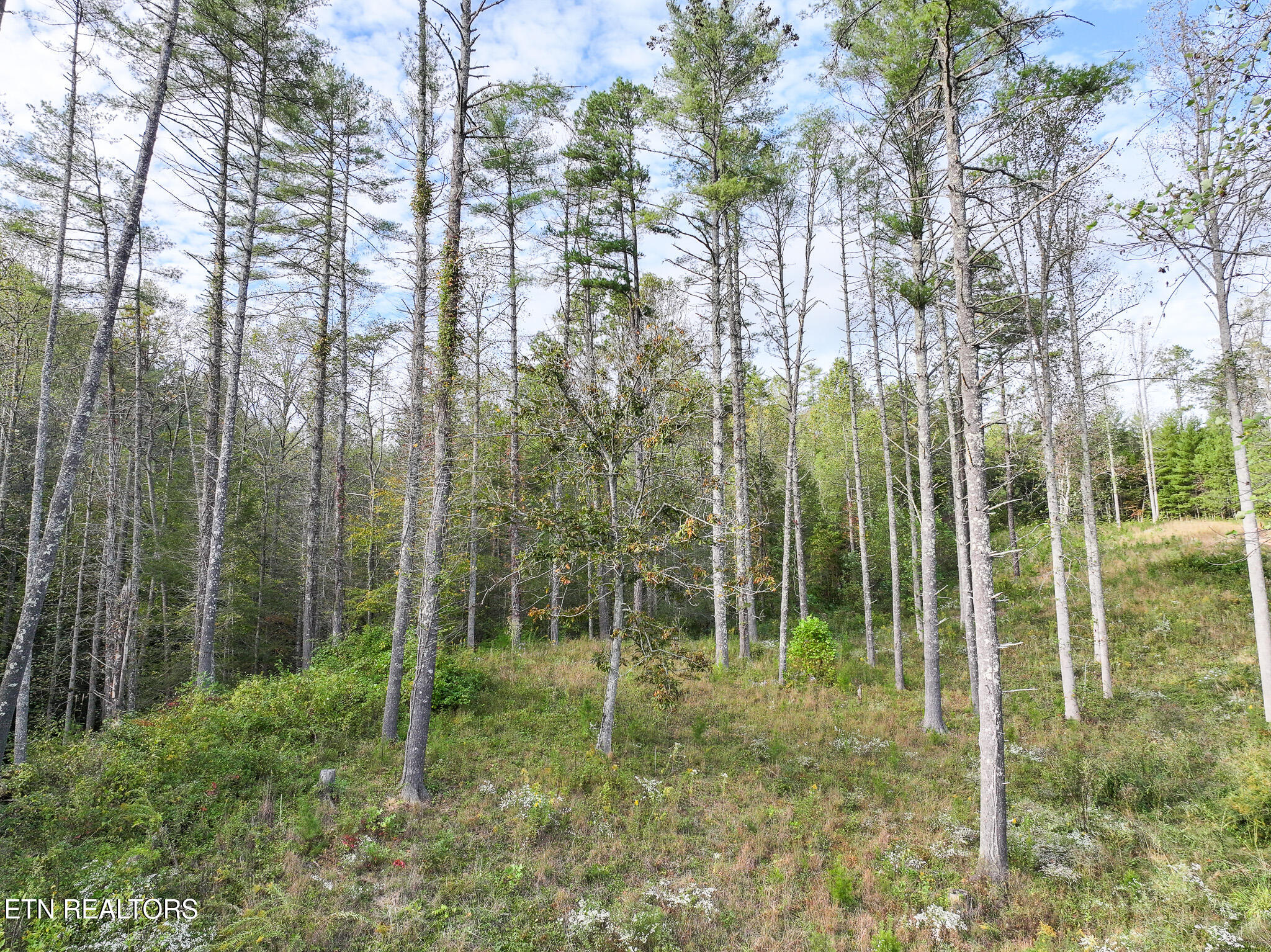 Long Branch Road Off Road Del Rio TN 37727