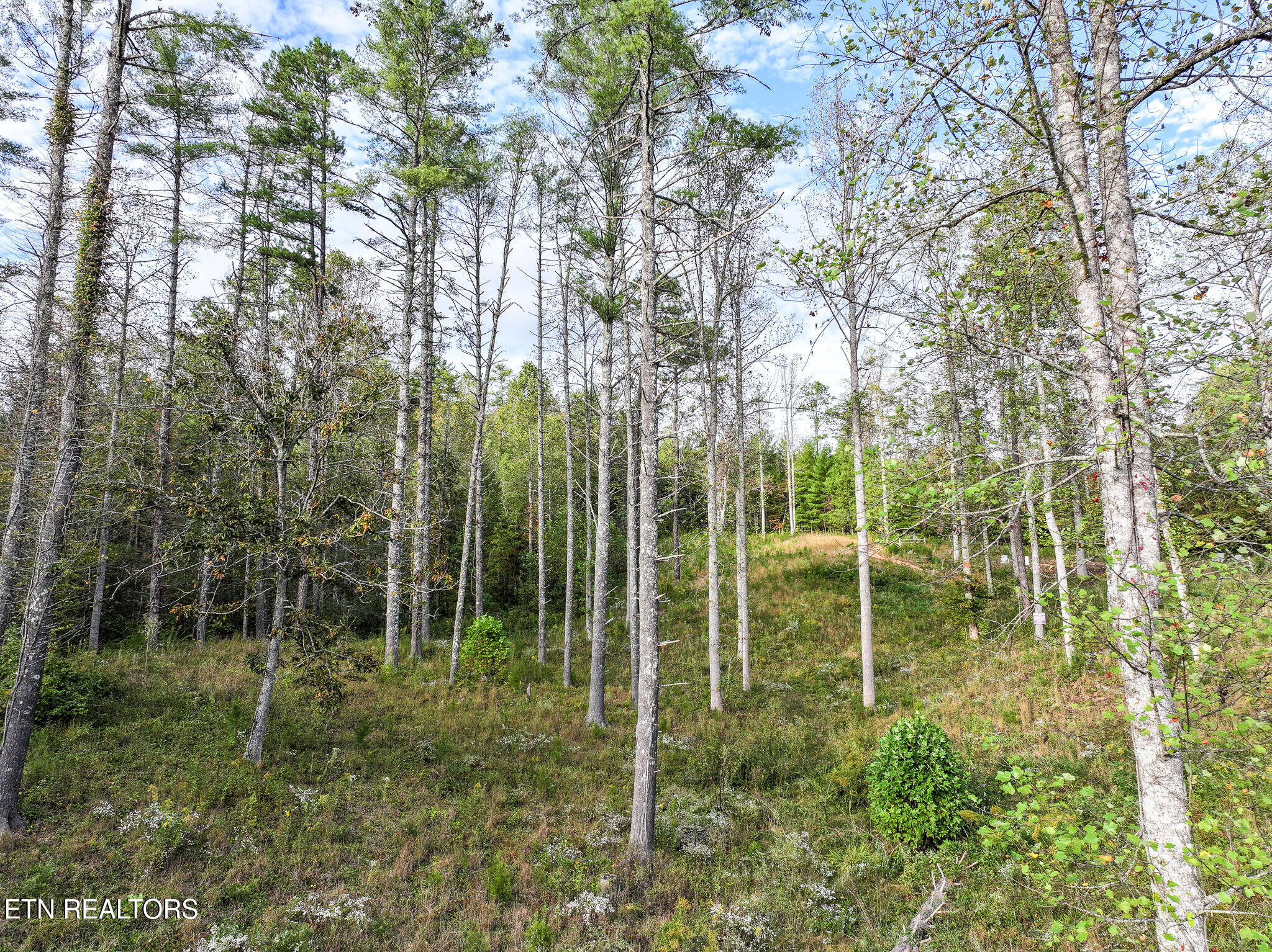 Long Branch Road Off Road Del Rio TN 37727