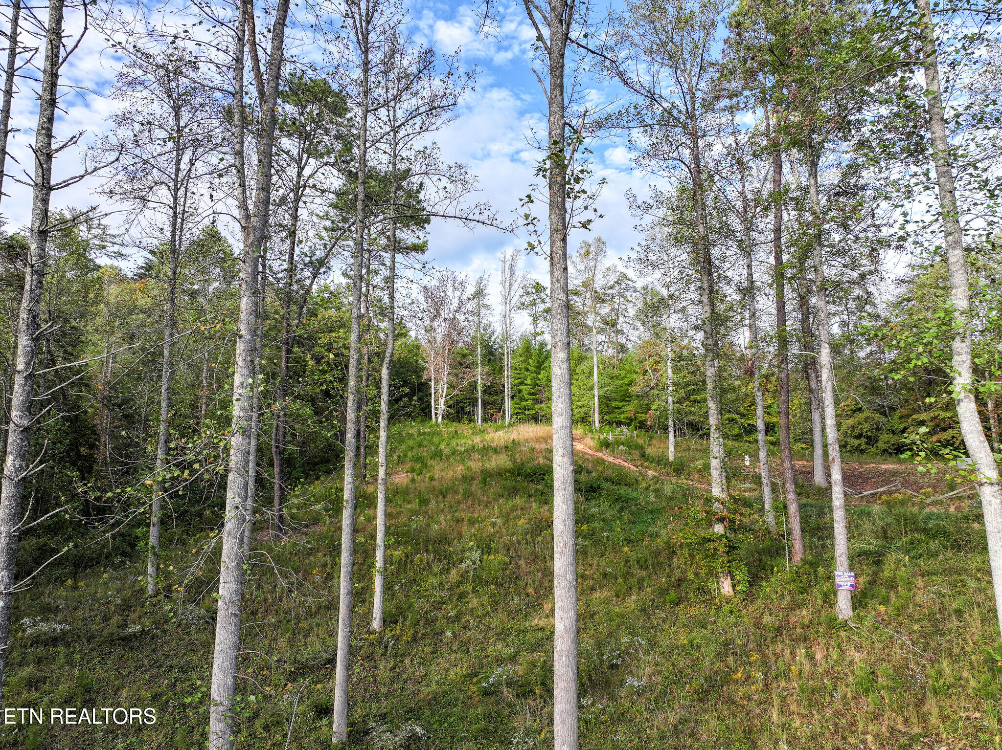 Long Branch Road Off Road Del Rio TN 37727