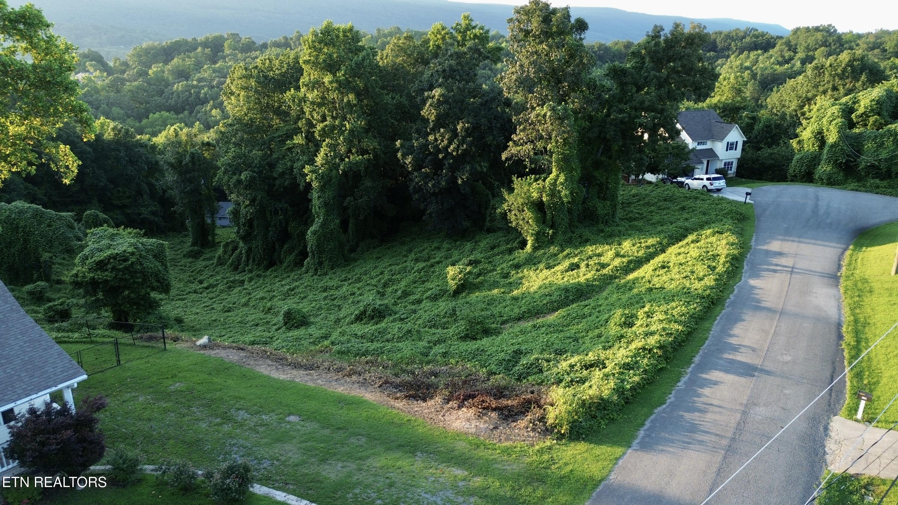 Lot 57 Matthew Lane Dayton TN 37321