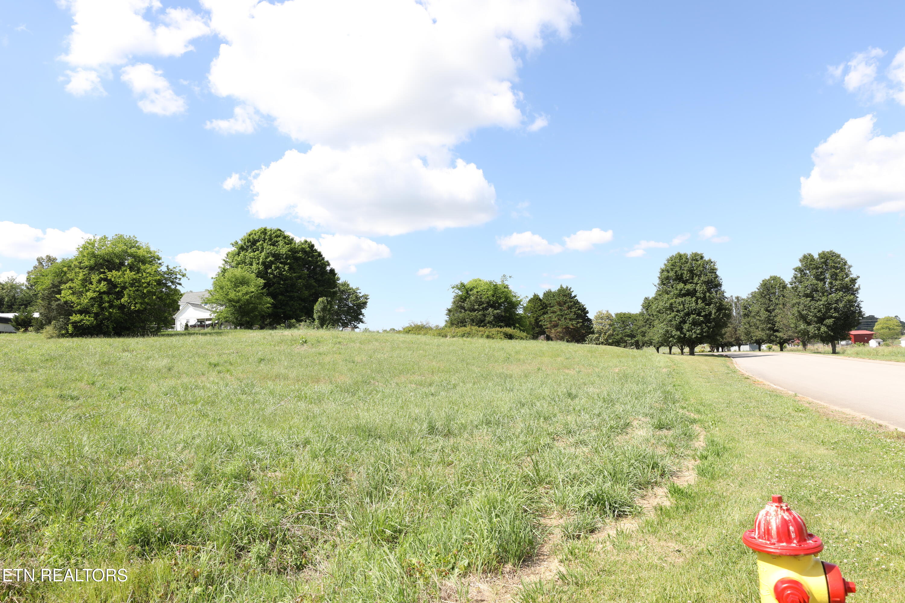 Lot 1 Magnolia Way Madisonville TN 37354