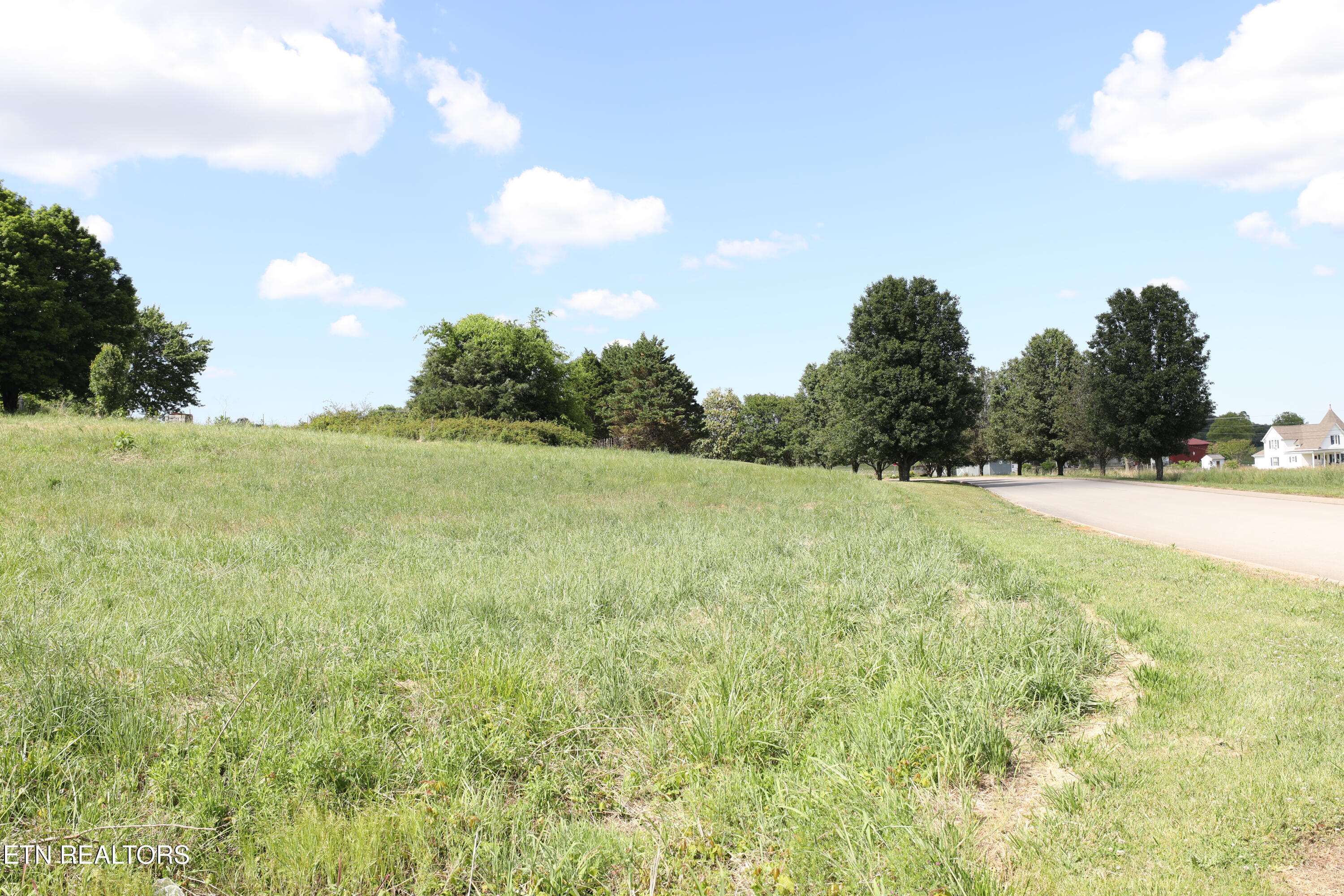 Lot 1 Magnolia Way Madisonville TN 37354