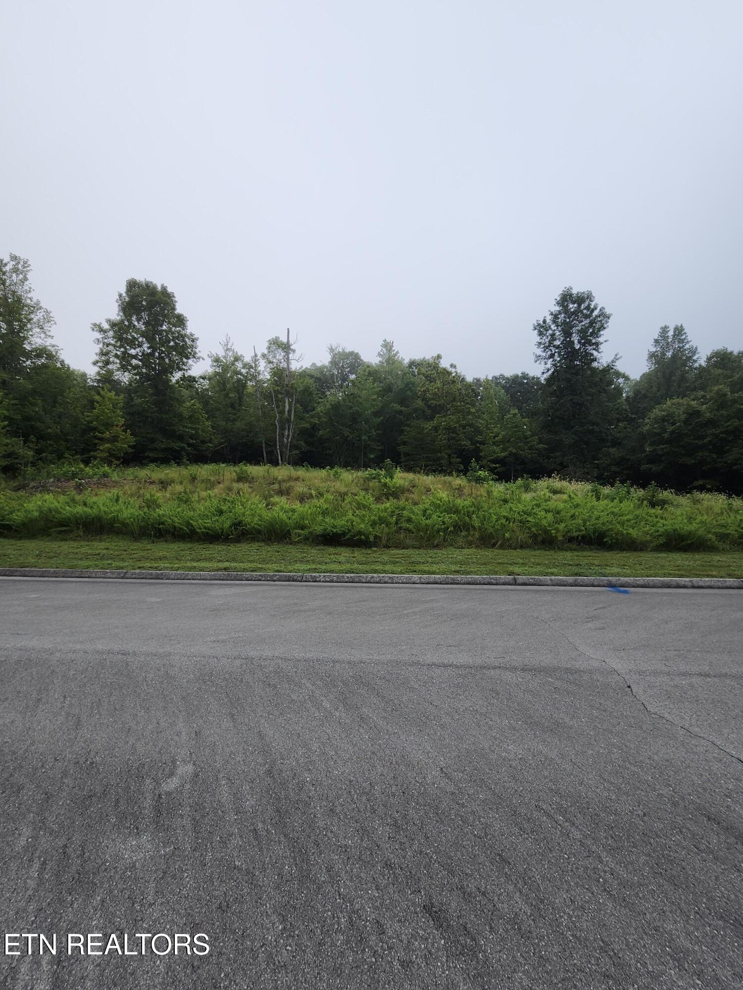 302 Caney View (w/dock) Drive Harriman TN 37748
