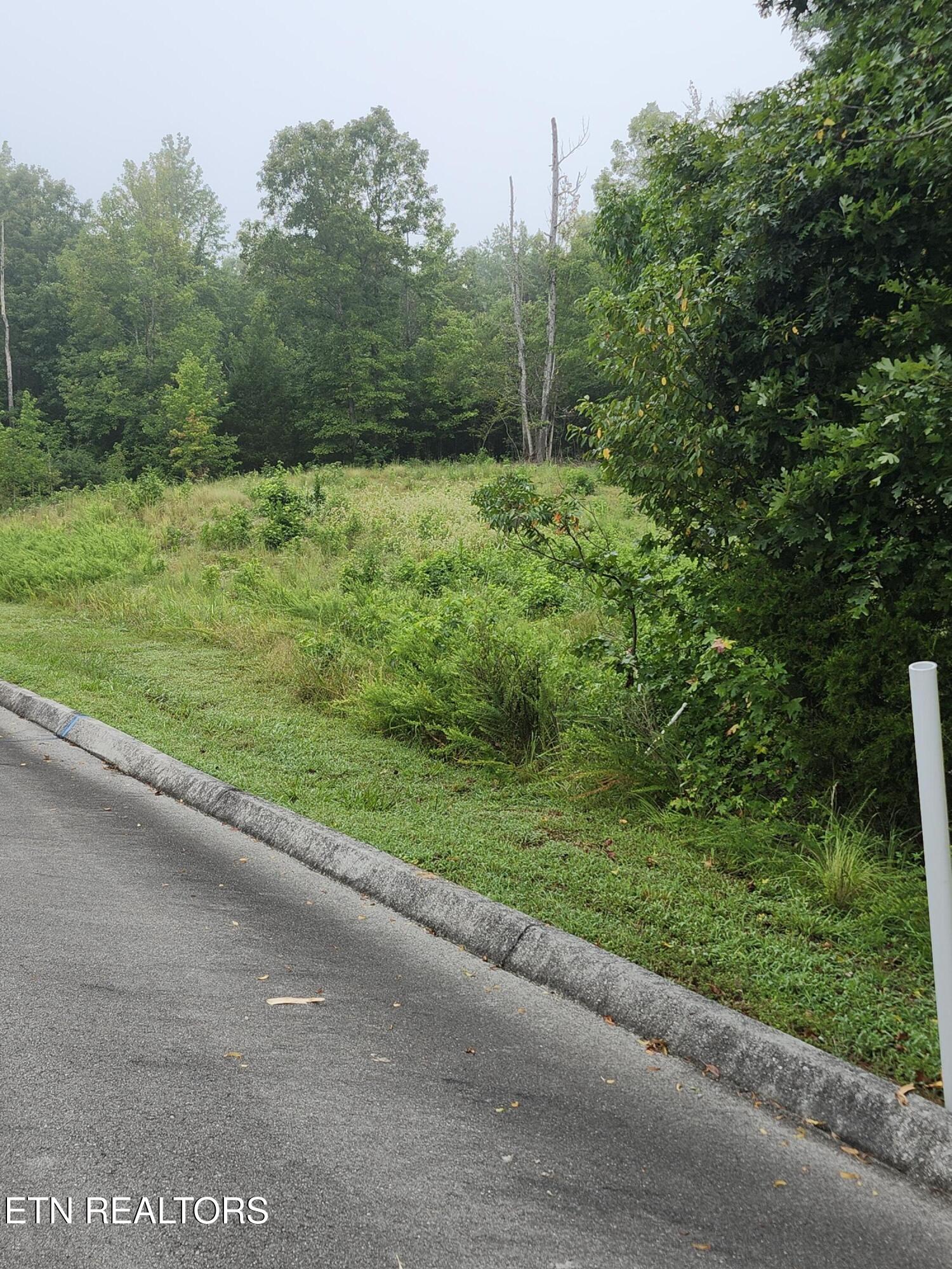 302 Caney View (w/dock) Drive Harriman TN 37748