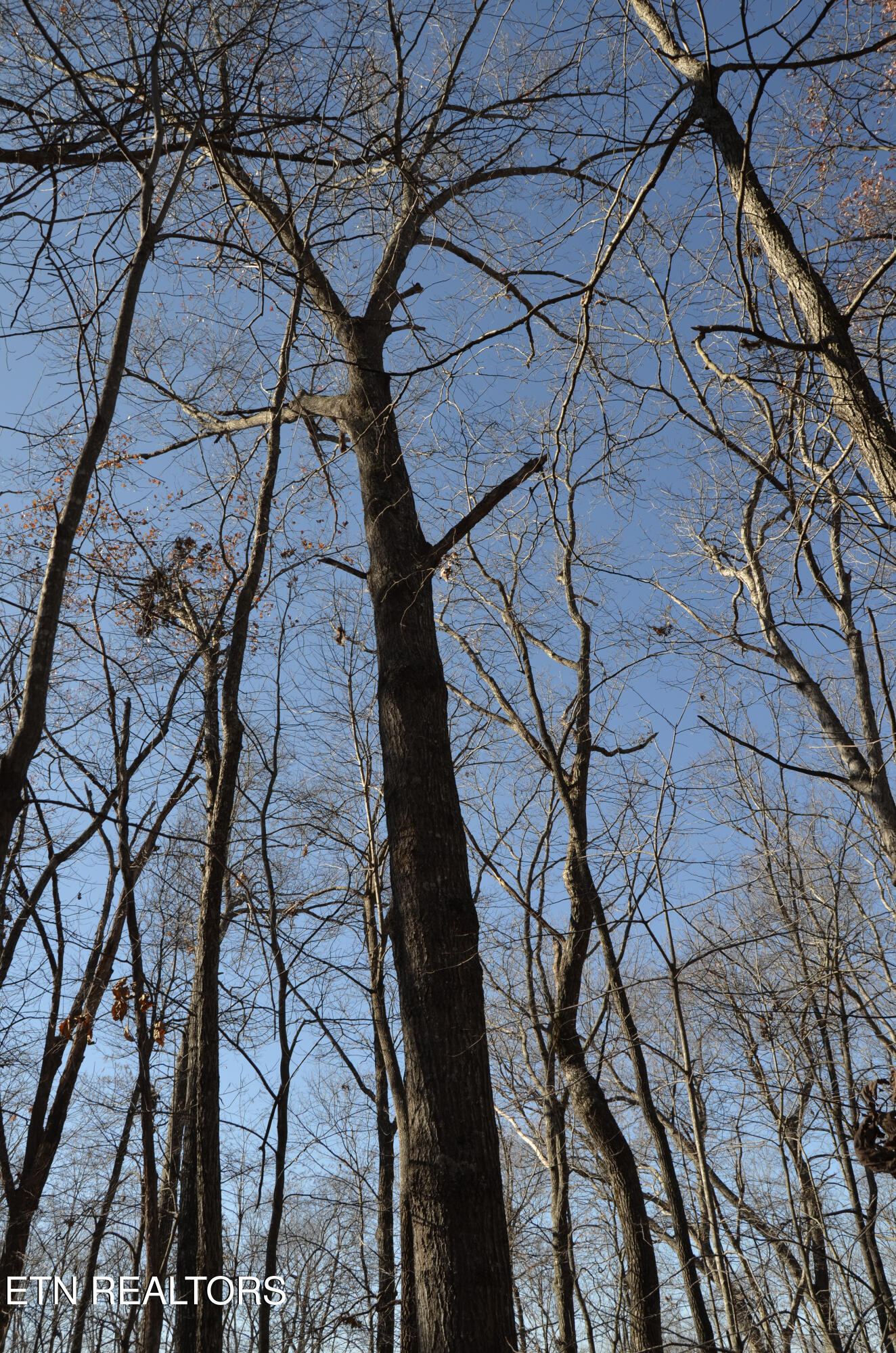 Sparta Highway 63.3 Acres Crossville TN 38555
