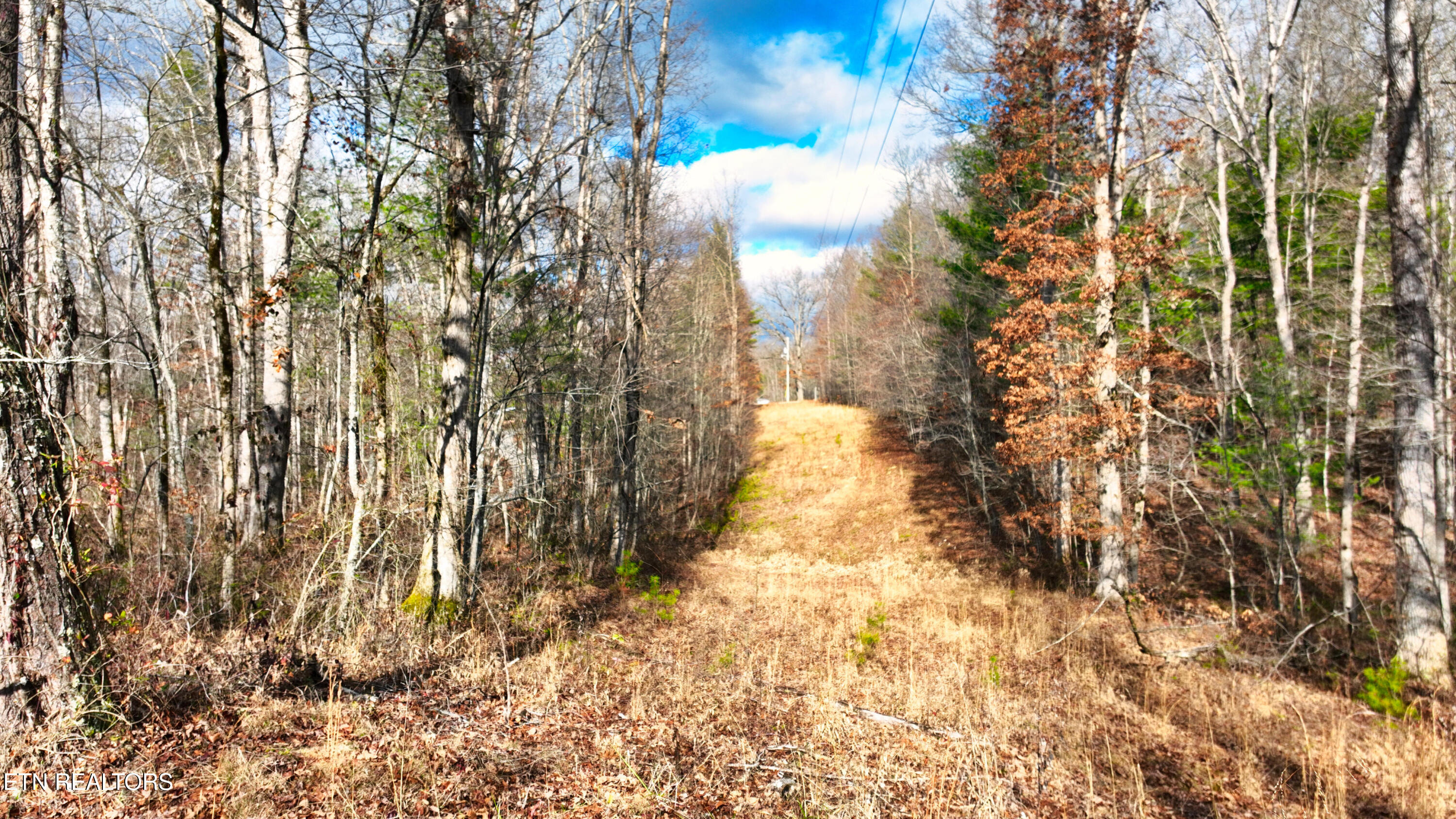 0 Junior Hall Road Sunbright TN 37872
