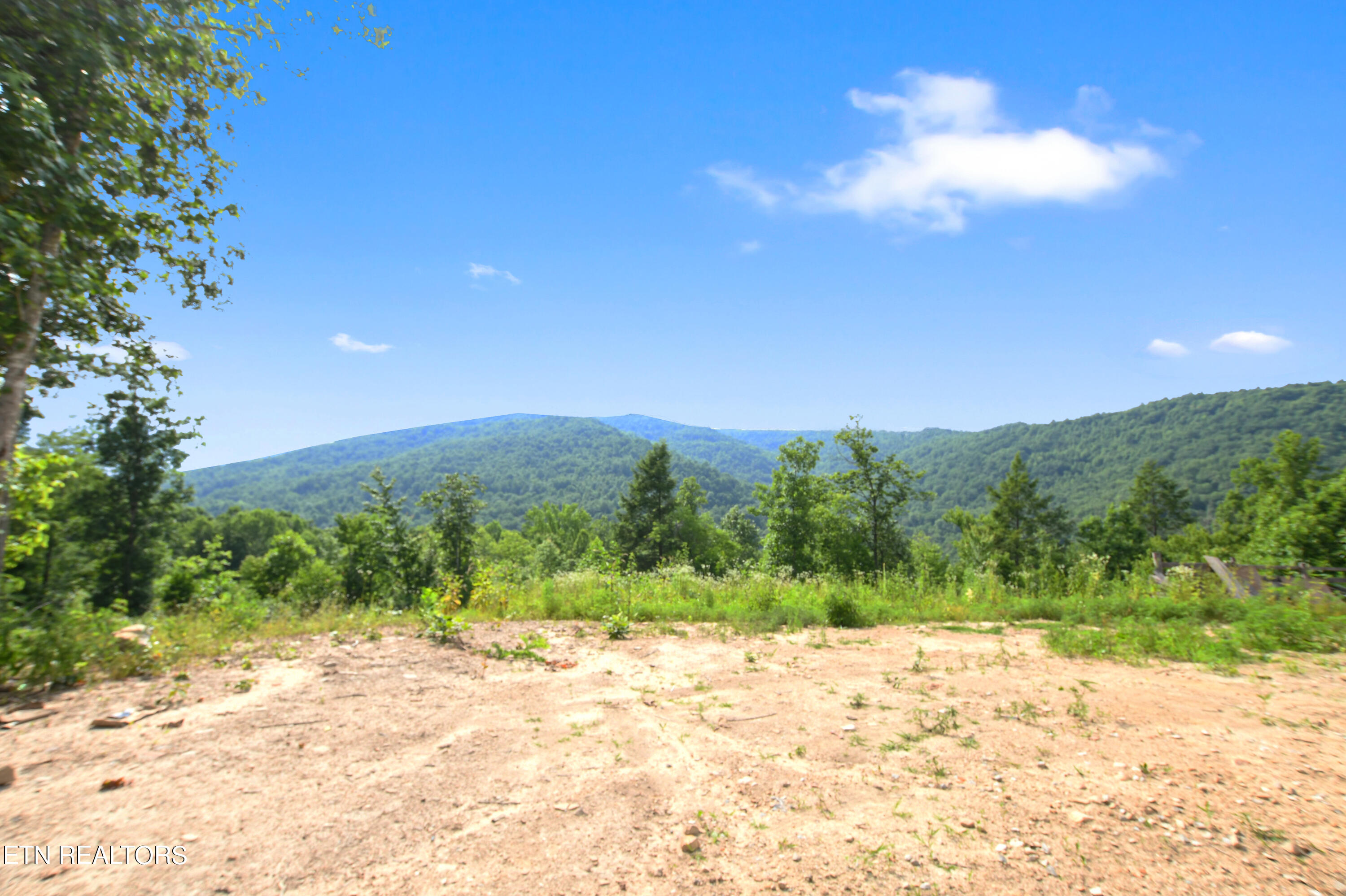 320 Taylor Lane Pioneer TN 37847
