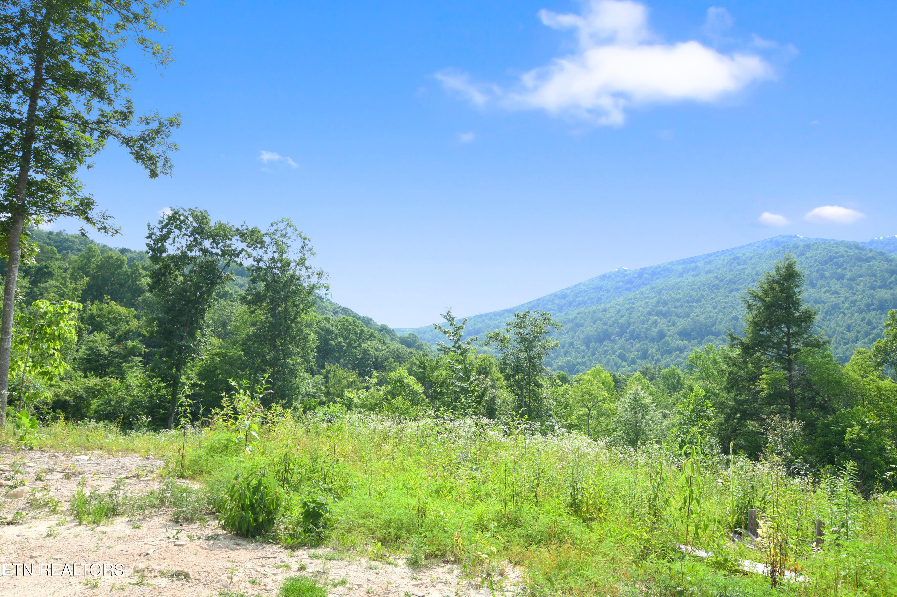 320 Taylor Lane Pioneer TN 37847