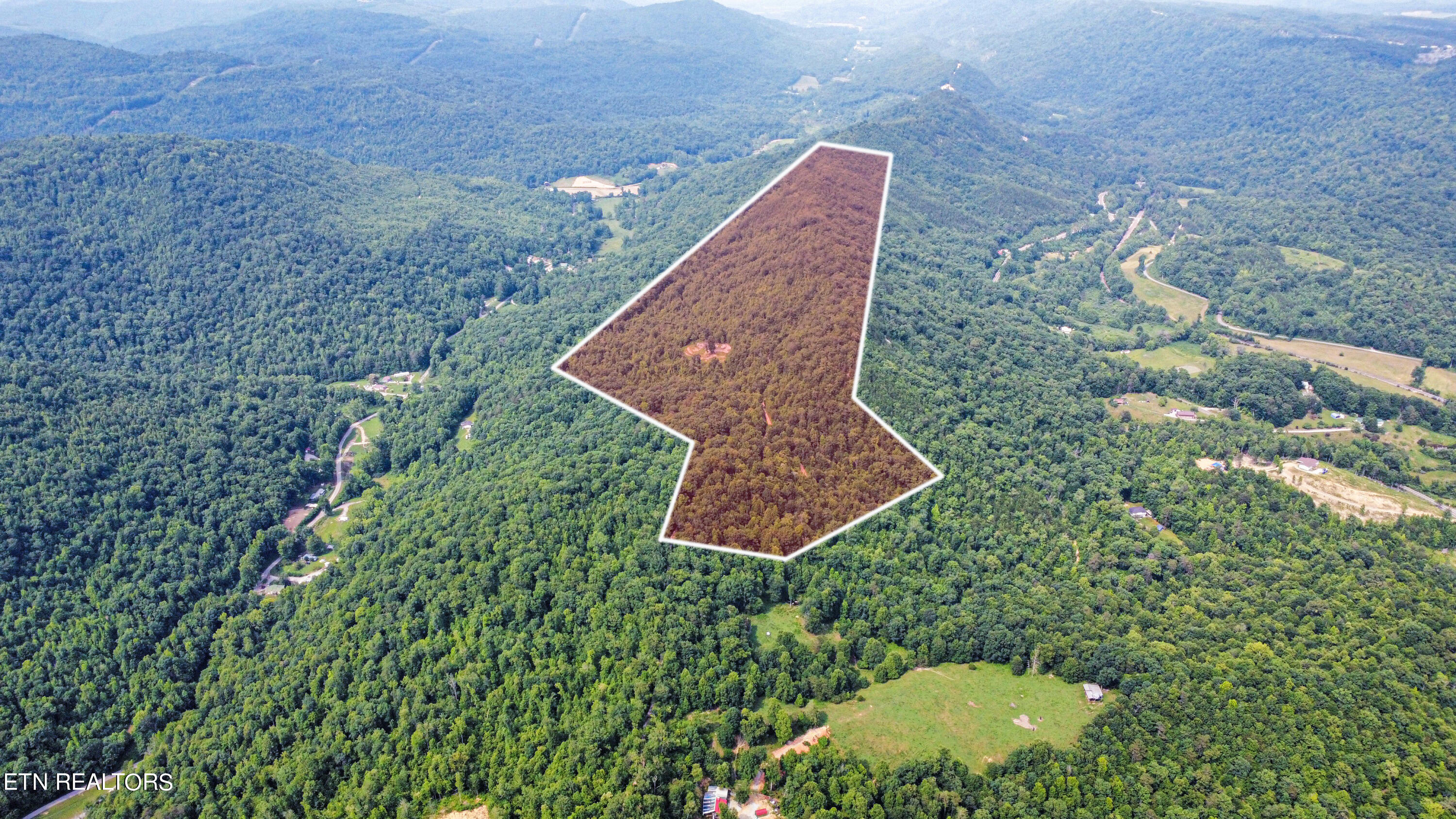 320 Taylor Lane Pioneer TN 37847