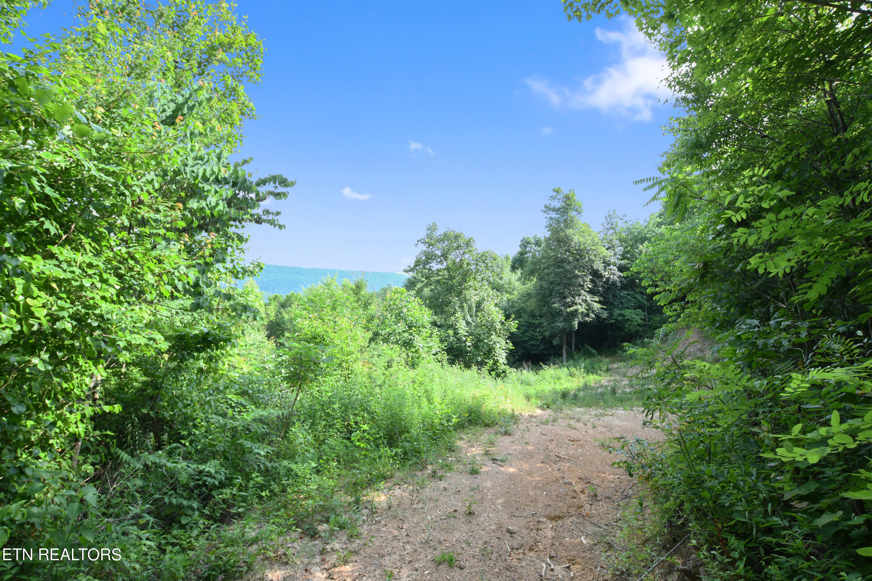 320 Taylor Lane Pioneer TN 37847