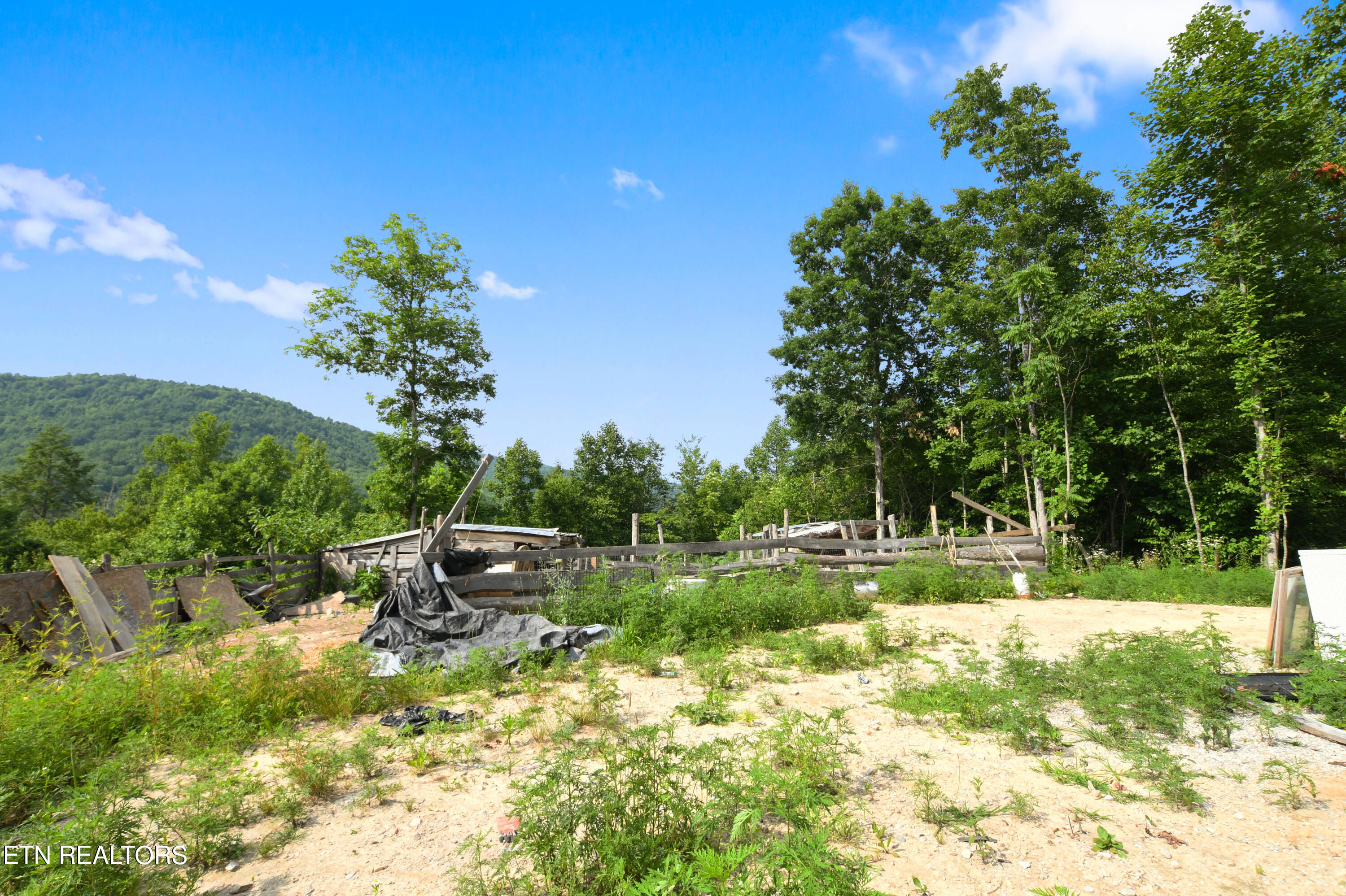 320 Taylor Lane Pioneer TN 37847