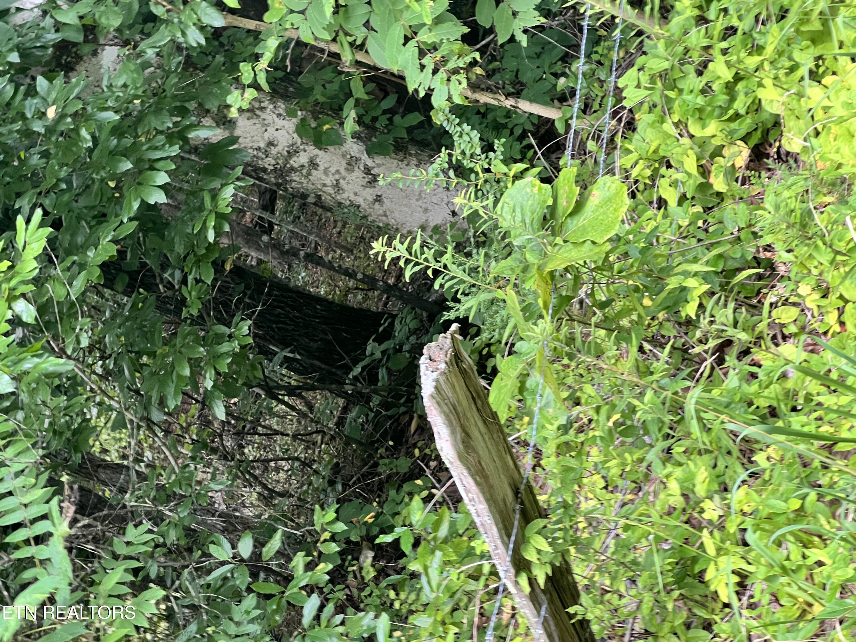 Lot 2 Prigmore Ridge Road Decatur TN 37322