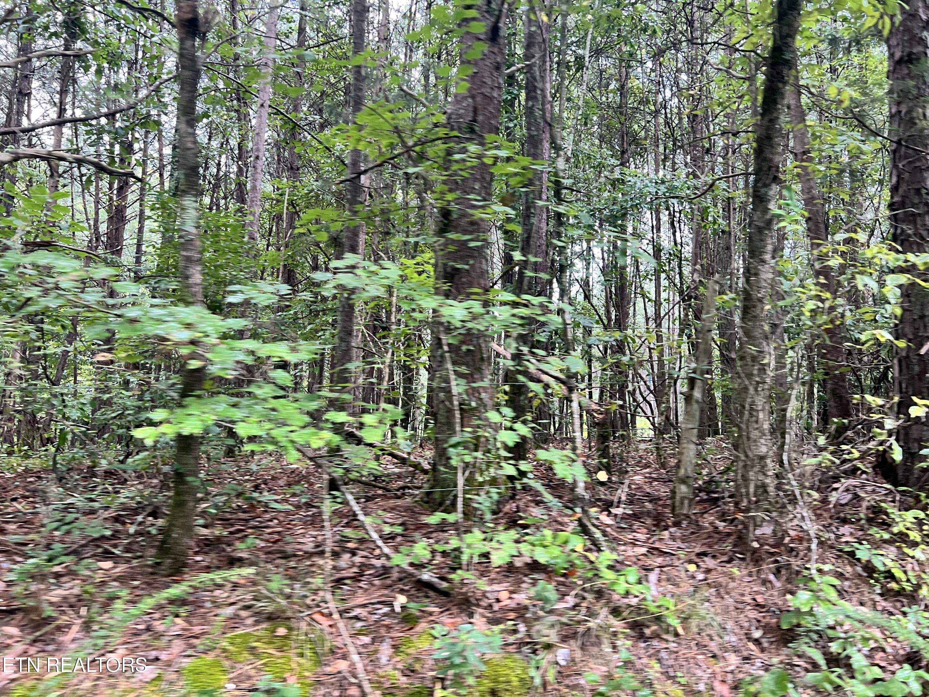 Lot 2 Prigmore Ridge Road Decatur TN 37322
