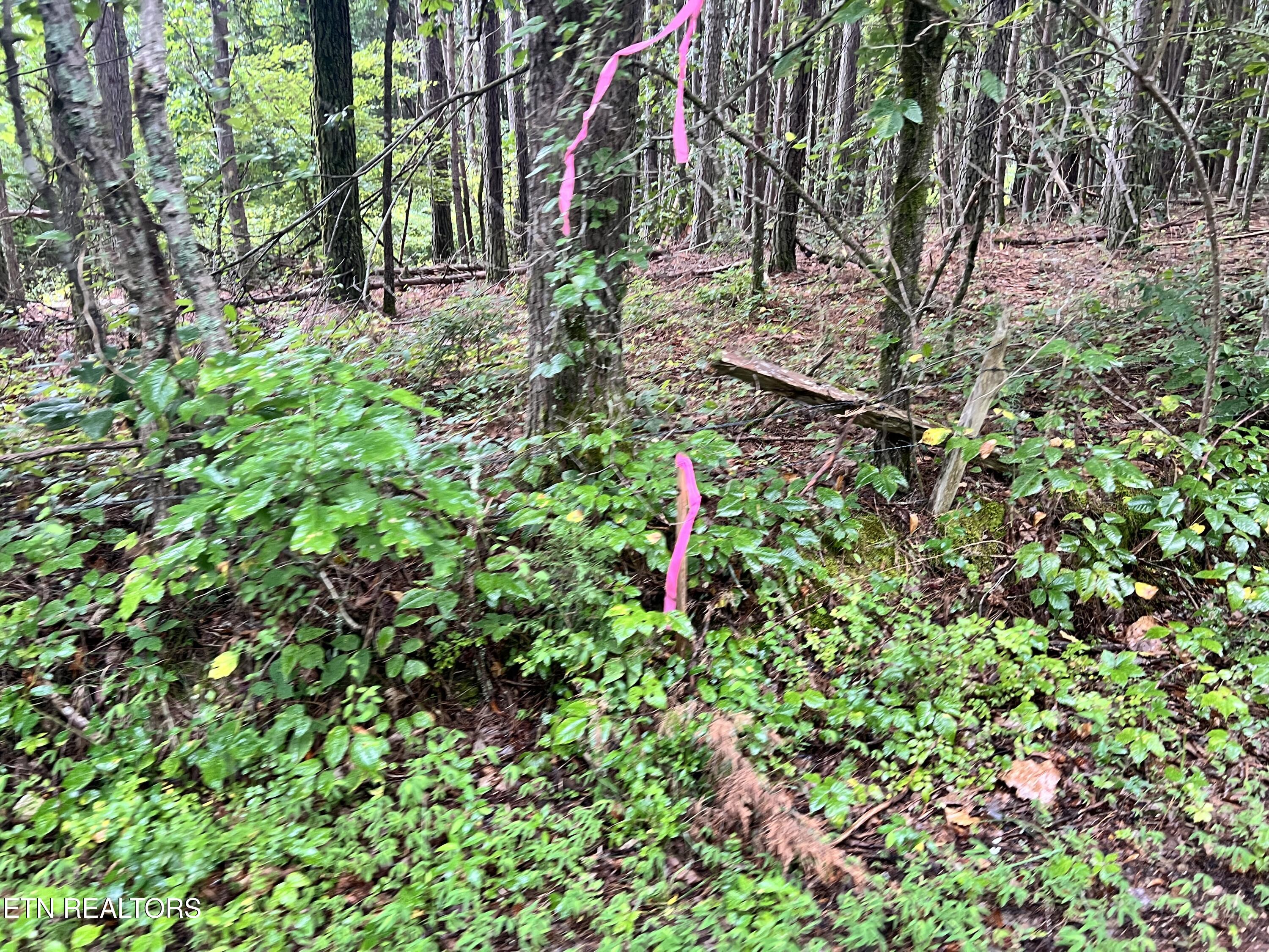 Lot 2 Prigmore Ridge Road Decatur TN 37322