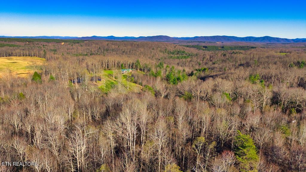 37.28 Ac Ervin Brown Road Sunbright TN 37872