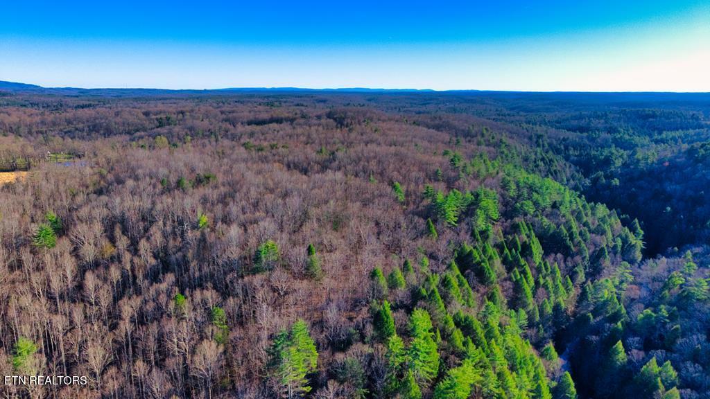 37.28 Ac Ervin Brown Road Sunbright TN 37872