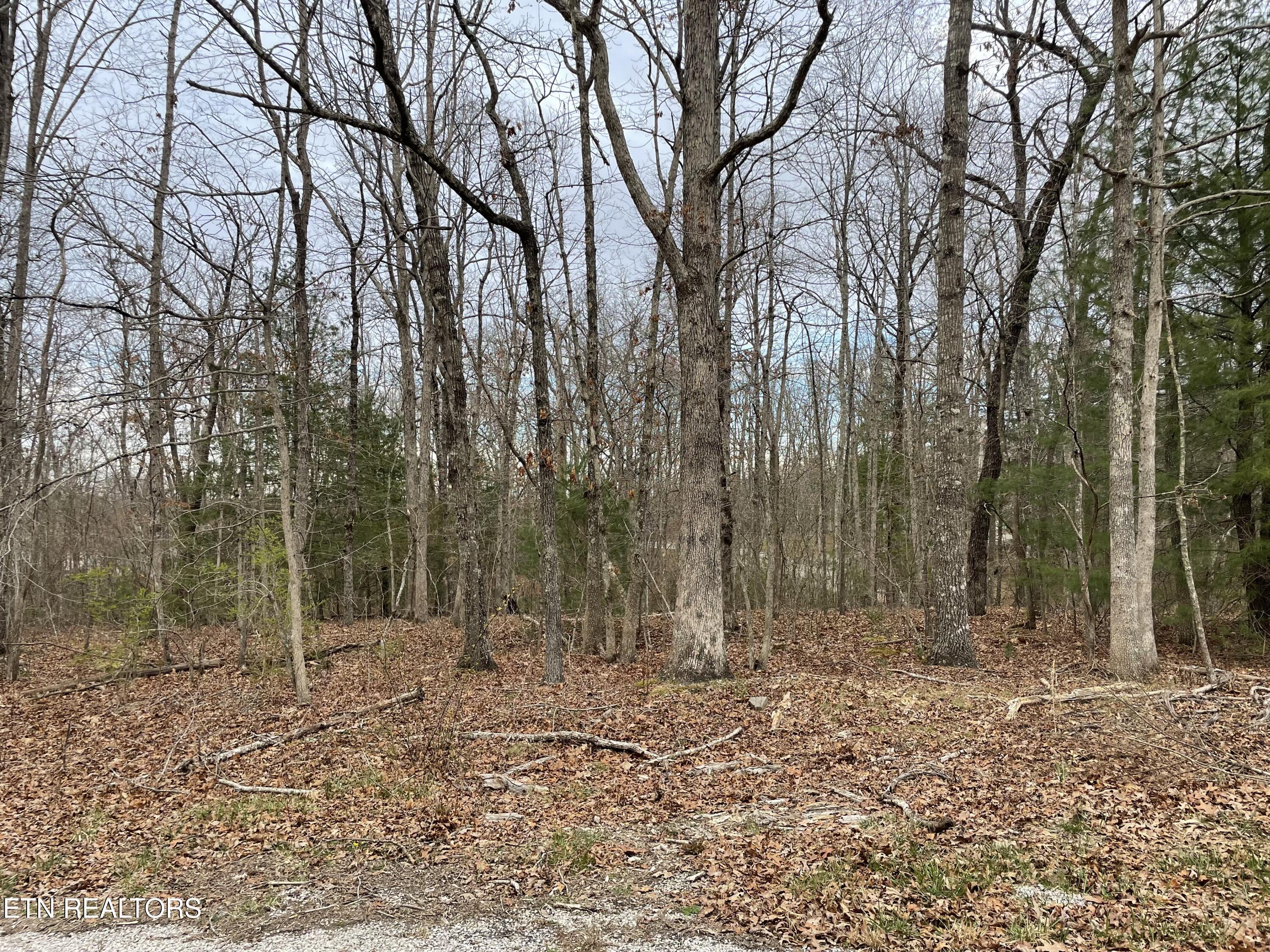 1055 Oceola Circle Crossville TN 38572