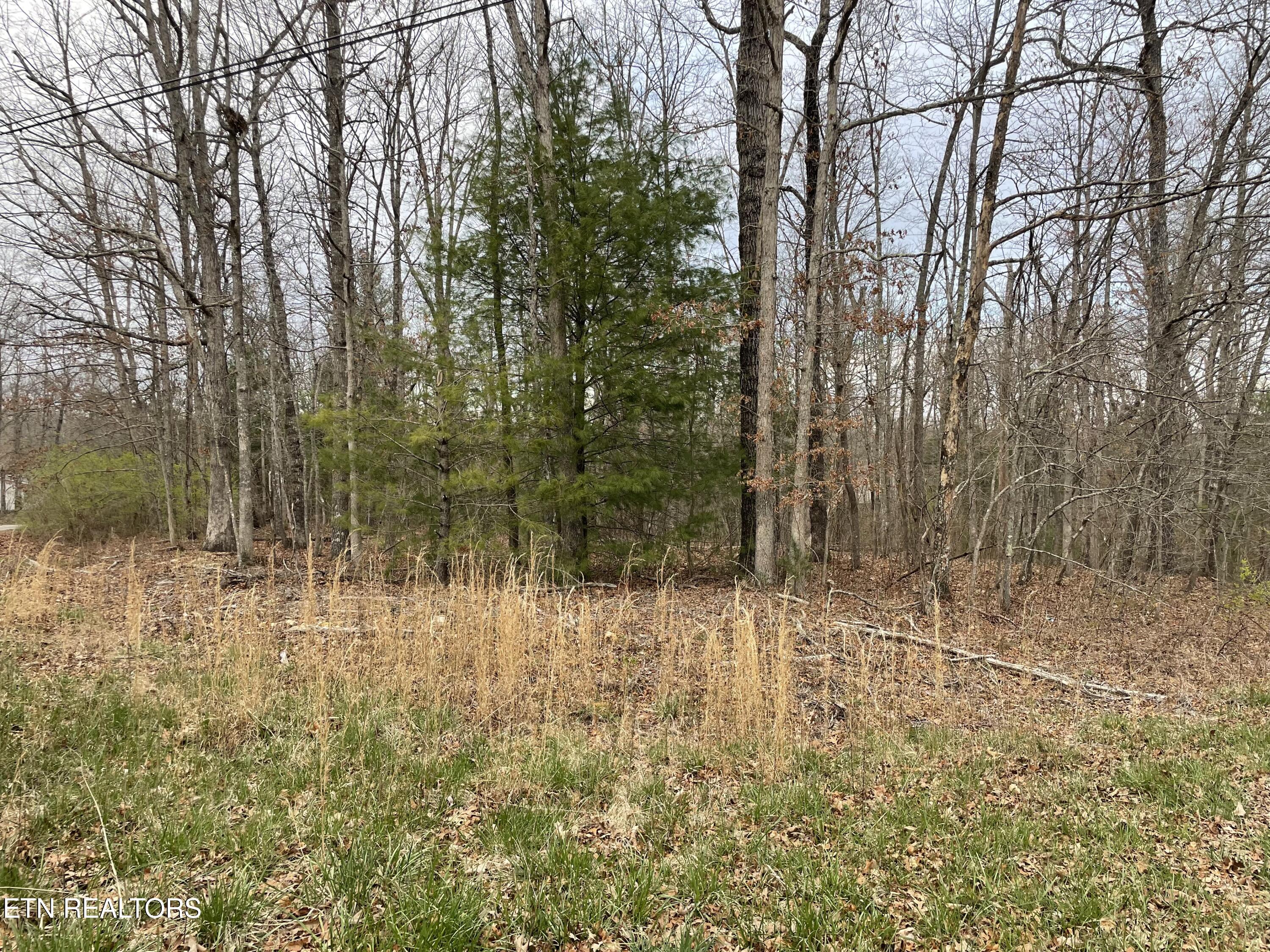 1055 Oceola Circle Crossville TN 38572