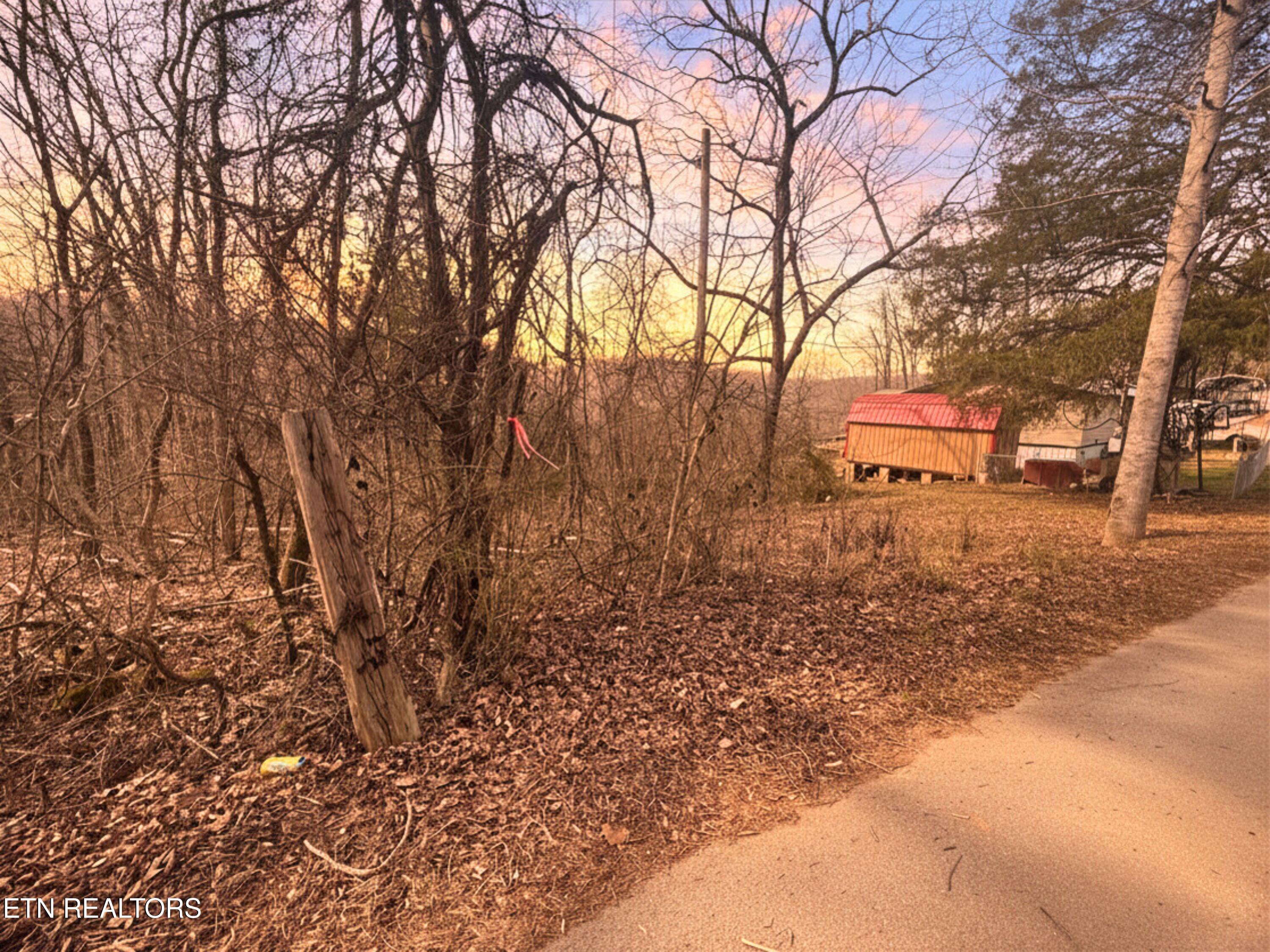 Straight Branch Road Speedwell TN 37870