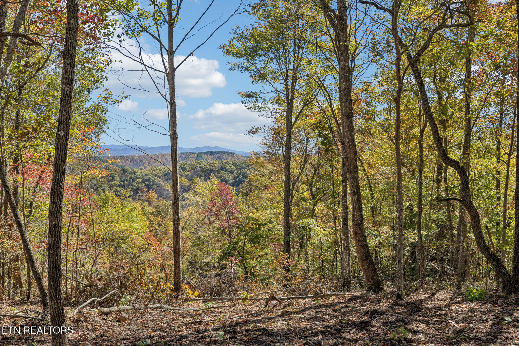 Sheep Ranch Road Robbins TN 37852