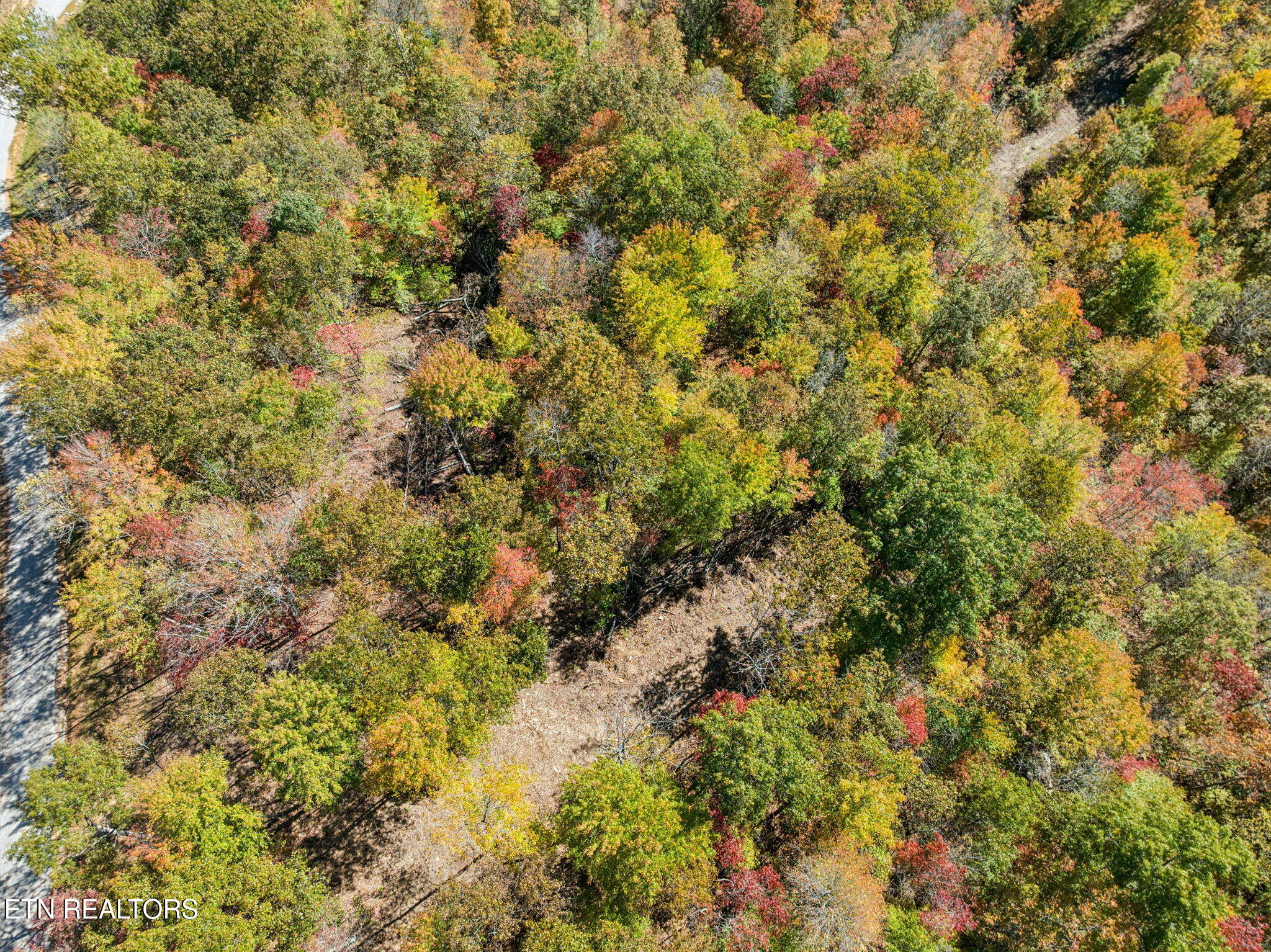 Sheep Ranch Road Robbins TN 37852