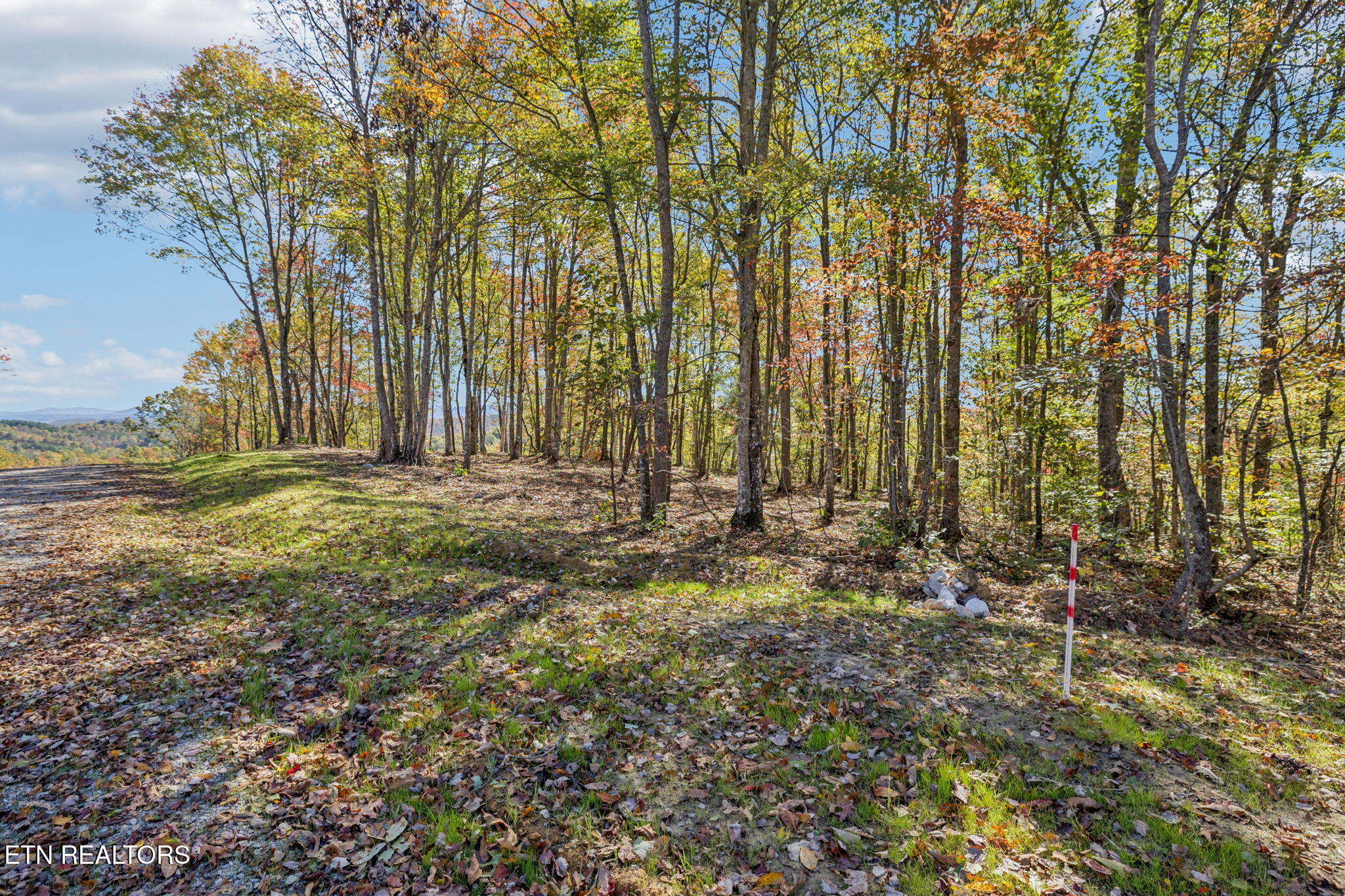 Sheep Ranch Road Robbins TN 37852