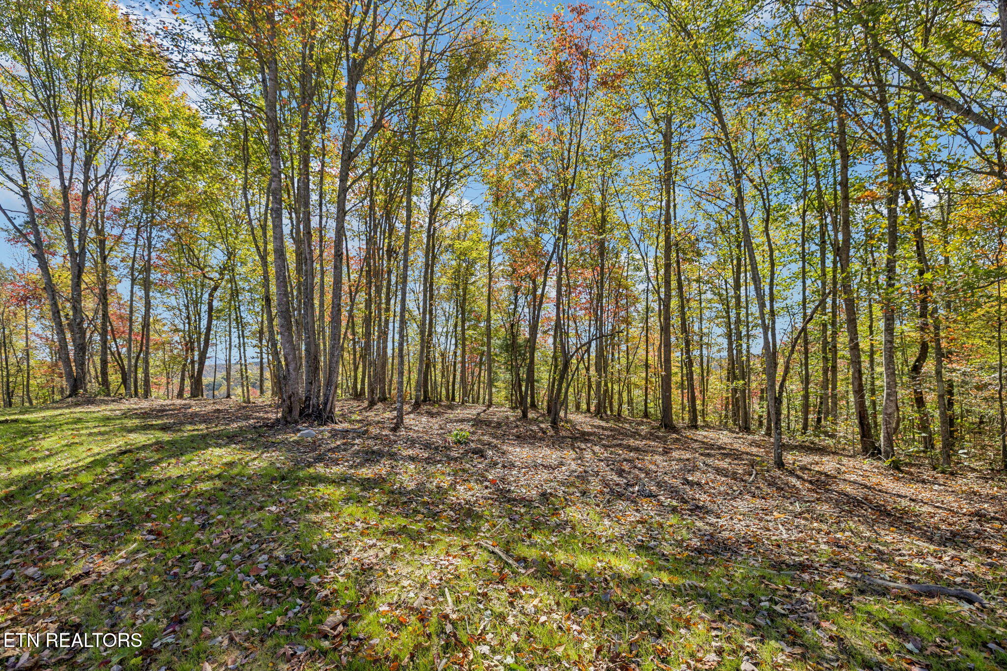 Sheep Ranch Road Robbins TN 37852
