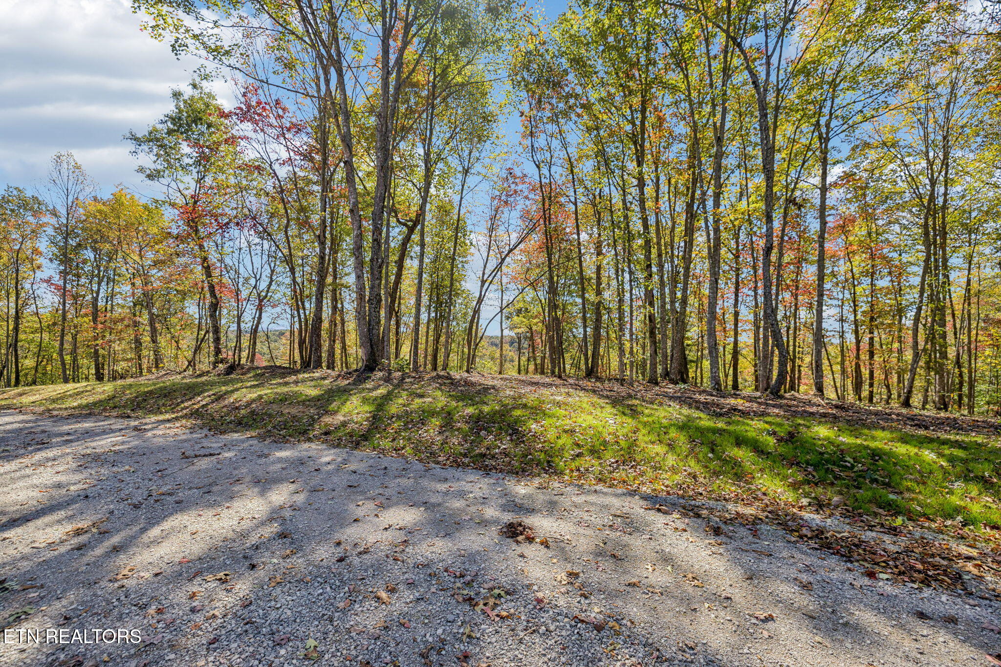 Sheep Ranch Road Robbins TN 37852