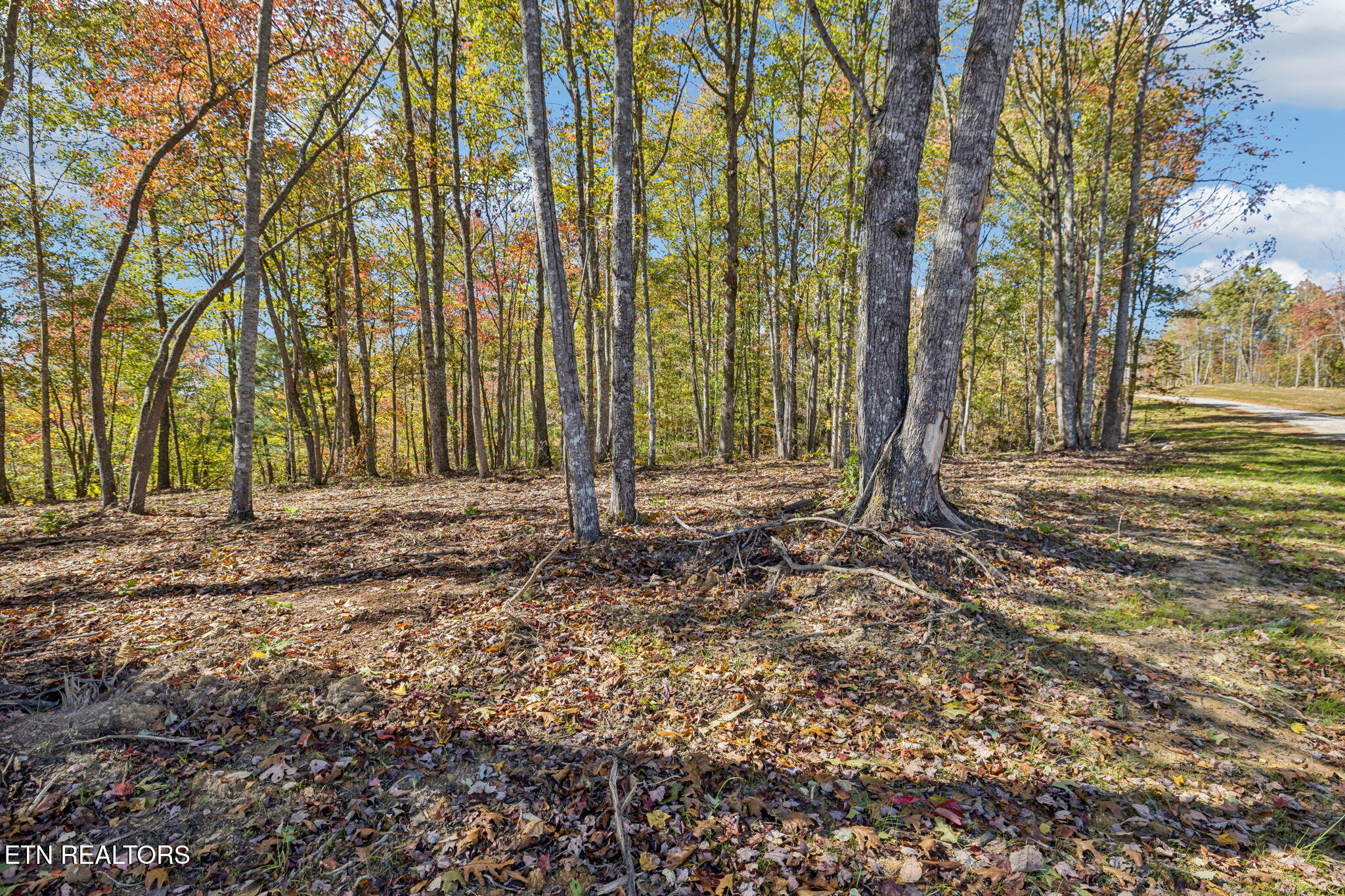 Sheep Ranch Road Robbins TN 37852